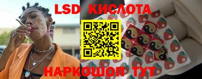 ГАЛЛЮЦИНОГЕННЫЕ ГРИБЫ Донской