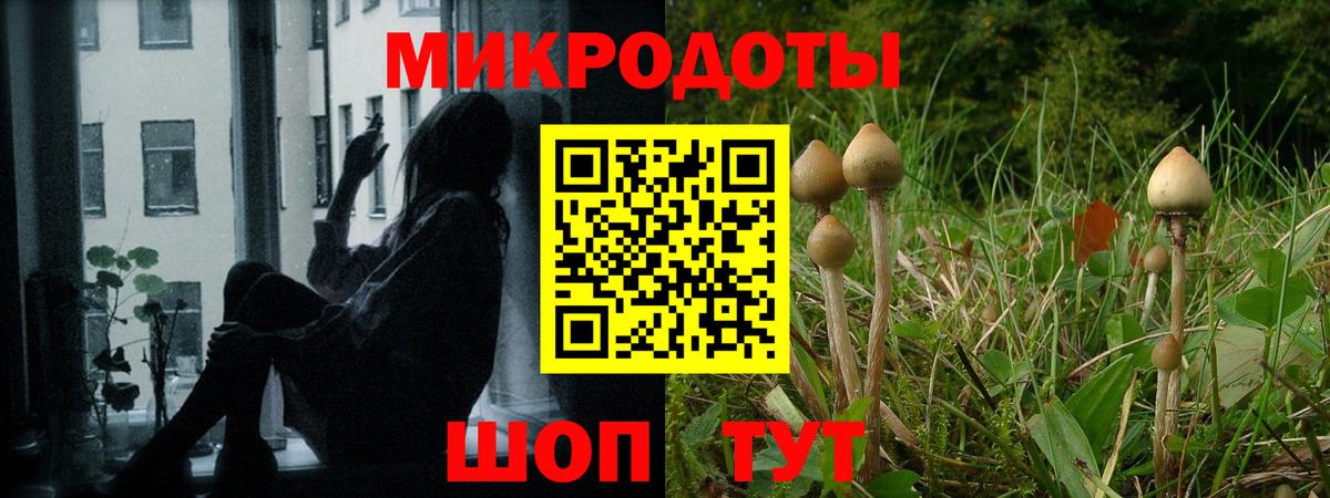 Псилоцибиновые грибы мицелий Тула